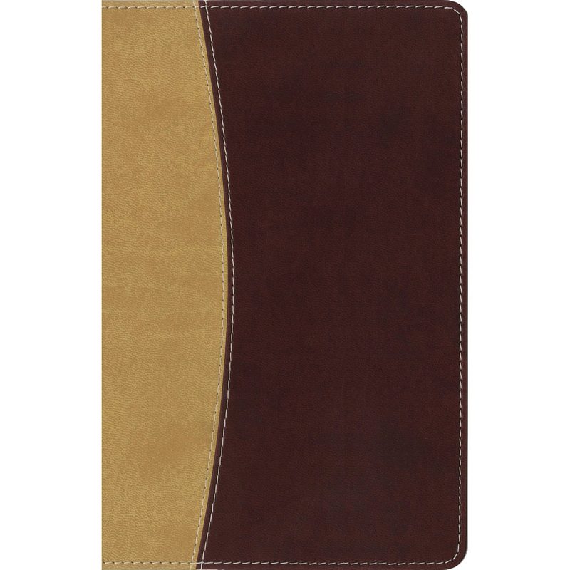 Amplified Compact Holy Bible, Camel / Burgundy Imitation Leather, Christian books & Bibles from Blessed Apparel SA